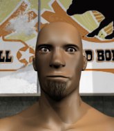 Mixed Martial Arts Fighter - Ground Defense