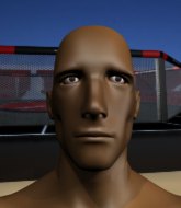 Mixed Martial Arts Fighter - Dan Hoss