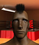 Mixed Martial Arts Fighter - John Doe