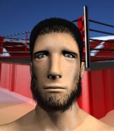 Mixed Martial Arts Fighter - Henrique Tavares