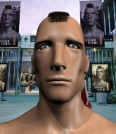 Mixed Martial Arts Fighter - Chris Near