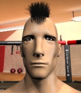 Mixed Martial Arts Fighter - Turtle Poole