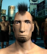 Mixed Martial Arts Fighter - Brock Head