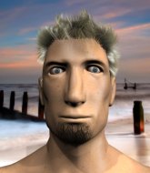 Mixed Martial Arts Fighter - Rober Garfield