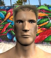 Mixed Martial Arts Fighter - Nicola Panarotto