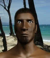 Mixed Martial Arts Fighter - Bruno  Rafael