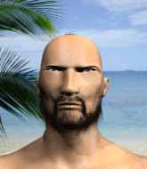 Mixed Martial Arts Fighter - Fook yu