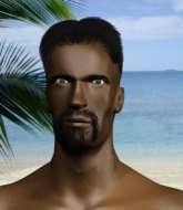 Mixed Martial Arts Fighter - King Game