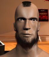 Mixed Martial Arts Fighter - Mike Chilson