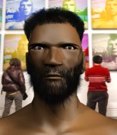 Mixed Martial Arts Fighter - Jonas Horse