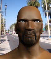 Mixed Martial Arts Fighter - Vinicius Camargo