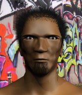 Mixed Martial Arts Fighter - Enielio Paulo