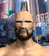 Mixed Martial Arts Fighter - Akira Sato