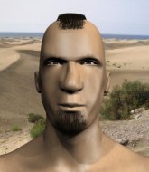 Mixed Martial Arts Fighter - Wanis Junior O