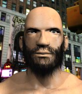 Mixed Martial Arts Fighter - Max Payne