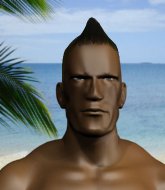 Mixed Martial Arts Fighter - Wixxbert Schnackerich