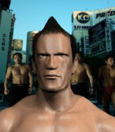 Mixed Martial Arts Fighter - Treponema Palidum