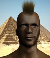 Mixed Martial Arts Fighter - Shaka Zulu