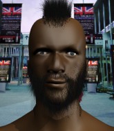 Mixed Martial Arts Fighter - Jorge Aveo