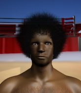 Mixed Martial Arts Fighter - Boris Shevnavski