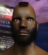 Mixed Martial Arts Fighter - Li Mia