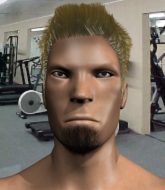 Mixed Martial Arts Fighter - Alessio Di Mero