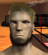 Mixed Martial Arts Fighter - Datsuro Sato