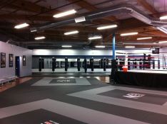 The Nest - Mixed Martial Arts Gym, Sydney