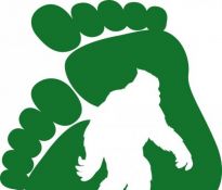 Bigfoot BJJ - Mixed Martial Arts Gym, Rio de Janeiro