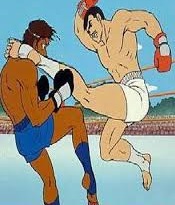 Gym To Nica - Mixed Martial Arts Gym, Montreal