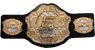 170 lbs, Undisputed Fighting Championships