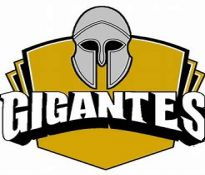 MMA Organization