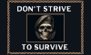 Dont Strive To Survive [7733]