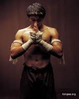 Mixed Martial Arts Management - Rocco Mediate