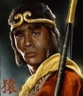 Mixed Martial Arts Management - Monkey !!