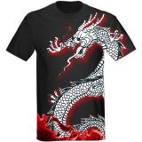 啓発 Shaolin Clothing