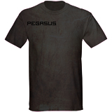 PEGASUS FIGHT WEAR ( $  7 Morale Boosters ! )