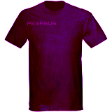 PEGASUS FIGHT WEAR ( $  7 Morale Boosters ! )