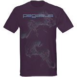 PEGASUS FIGHT WEAR ( $  7 Morale Boosters ! )