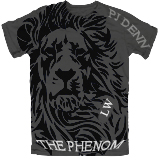 Lionwear (90% laundry)