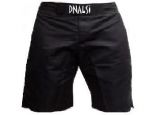 DNALSI