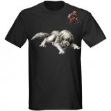 Laundry Service Vegas