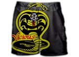 VICIOUS FIGHT GEAR