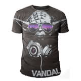 Vandal & Laundry