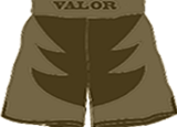 VALOR Clothing - Everything $20