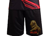 VALOR Clothing - Everything $20