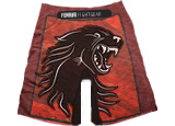 Fenrir Fightgear - Anno  2013