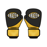 BRAZEN - Fight Gear